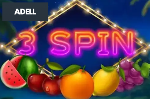 3 Spin